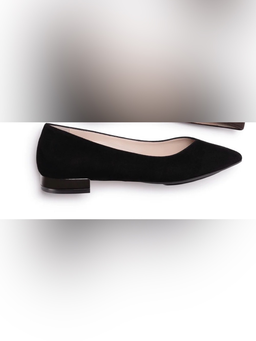 Black Pointed Flat with Silver Accent Heel